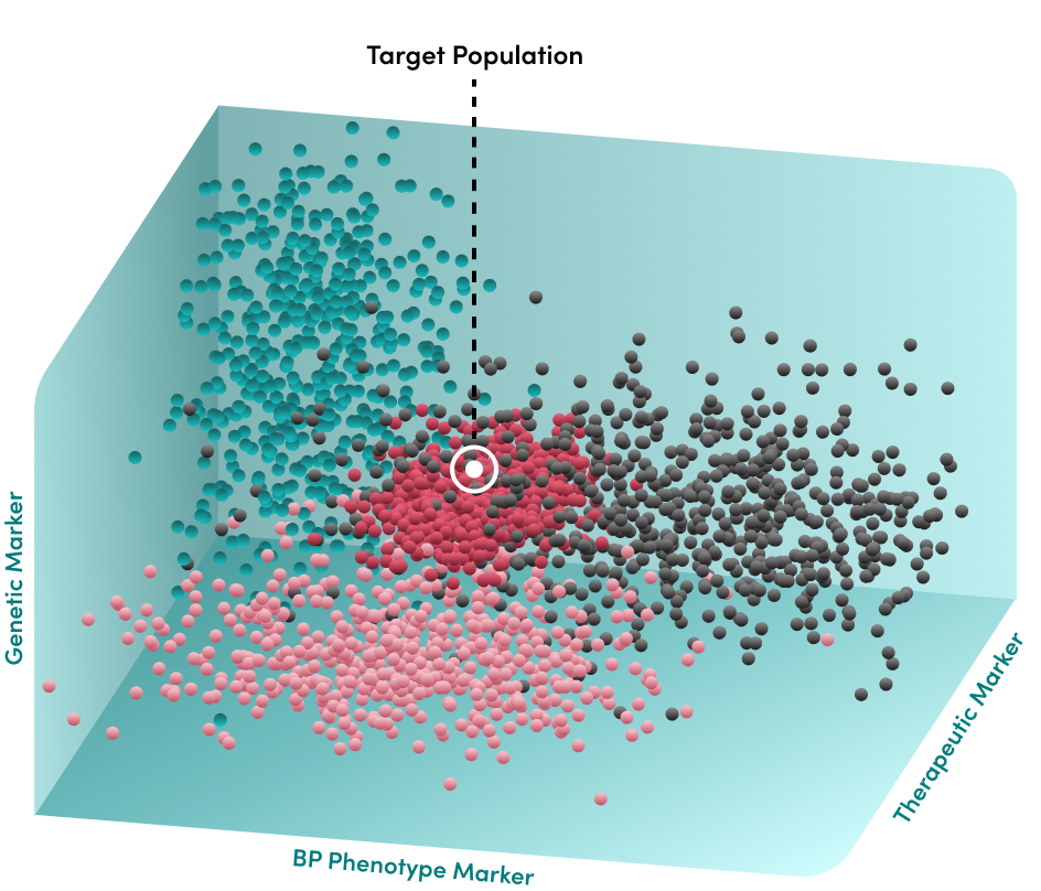 bp data sets
